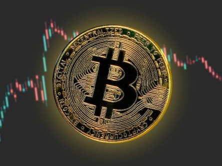 小蚁币今日最新价格，NEO币2025年价格预测！